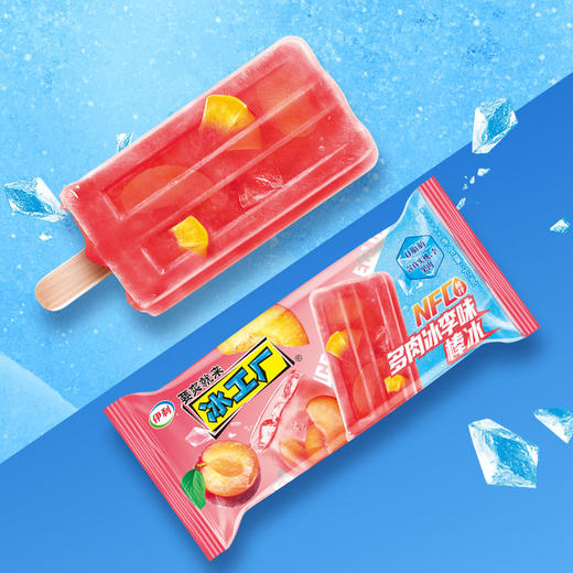 伊利冰工厂冰爽多肉冰李棒冰片冰激凌雪糕 70g 商品图0