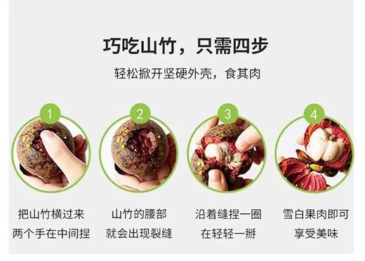 泰国老树麻竹/山竹 商品图5