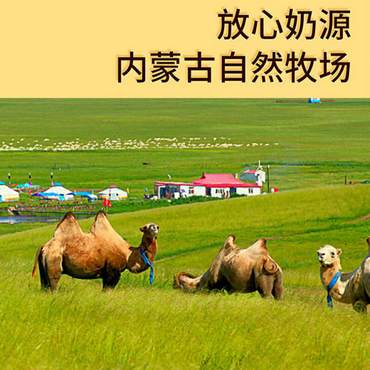 牧之父驼奶屹㟷I驼奶芝士酪点508g 商品图1