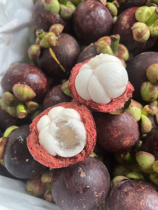 泰国老树麻竹/山竹 商品图0