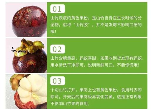 泰国老树麻竹/山竹 商品图6