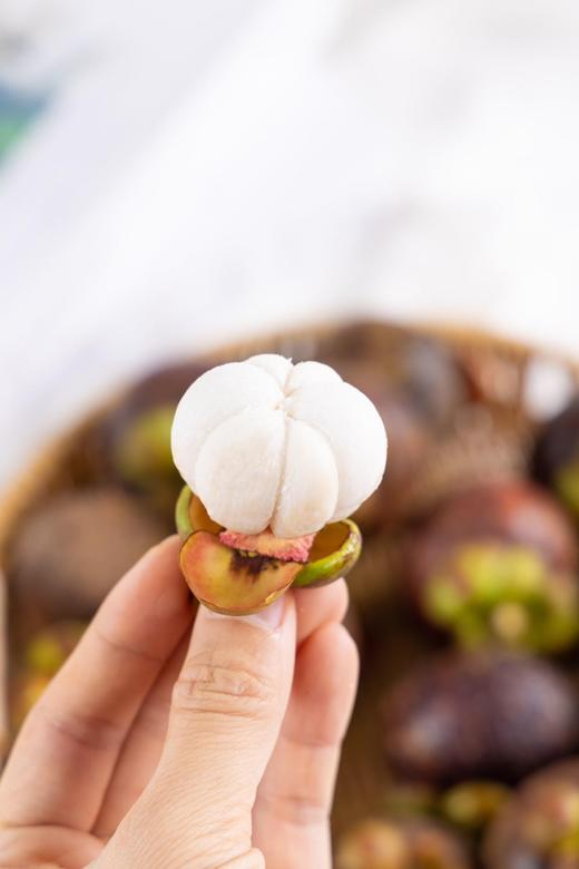 泰国老树麻竹/山竹 商品图4