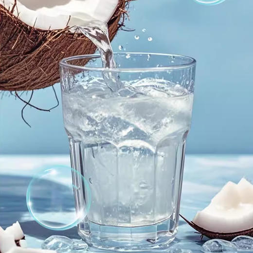 禅宝 椰子水350ml-1L 商品图4