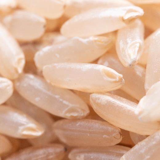 生态五常大米（稻花香二号-粳米、胚芽米&糙米） | 合作生产 *Wuchang rice | Coproduction 商品图3