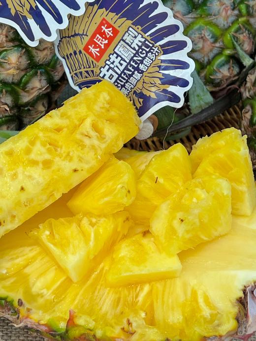 凤梨先声金钻凤梨 海南产区 商品图14