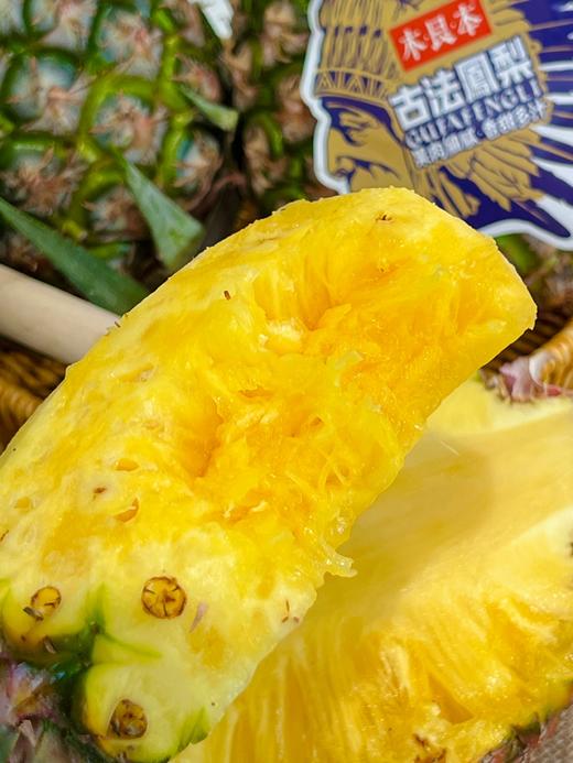 凤梨先声金钻凤梨 海南产区 商品图9