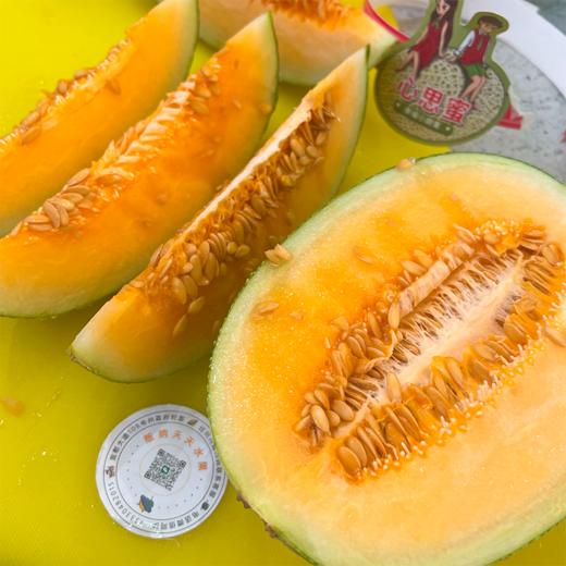 海南哈密瓜 甜脆黄肉 商品图1