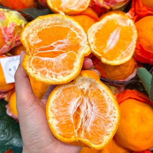 耙耙柑散称  味道浓郁 化渣率高 不干水 商品图1