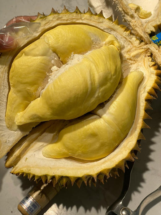 【超级补贴】26.8元斤   泰国树熟特特级金枕榴莲 商品图5