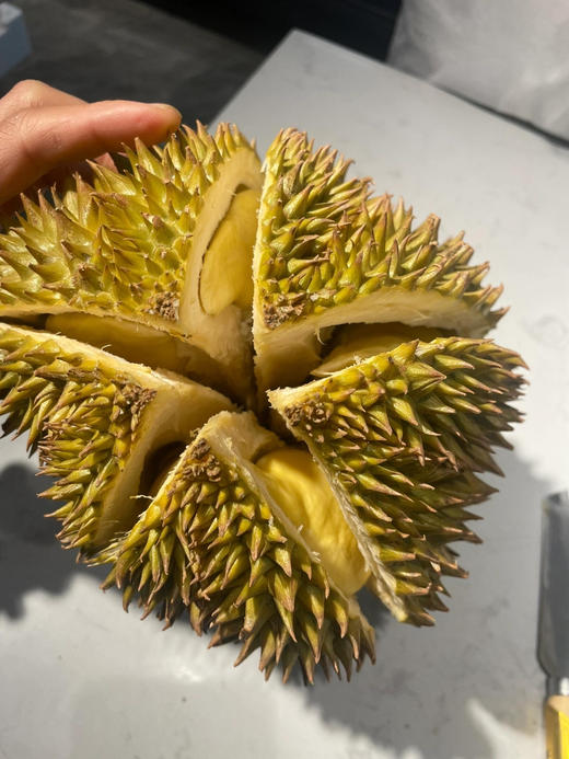 【超级补贴】26.8元斤   泰国树熟特特级金枕榴莲 商品图4