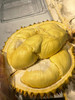 【超级补贴】26.8元斤   泰国树熟特特级金枕榴莲 商品缩略图3