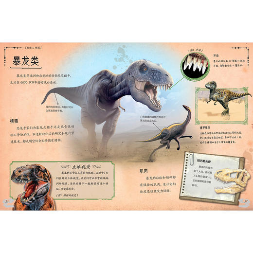 《惊人的骨头》（全3册）：《惊人的骨头：消失的恐龙》《惊人的骨头：动物世界》《惊人的骨头：头骨之谜》 商品图6