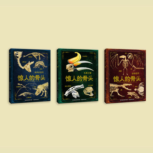 《惊人的骨头》（全3册）：《惊人的骨头：消失的恐龙》《惊人的骨头：动物世界》《惊人的骨头：头骨之谜》 商品图14