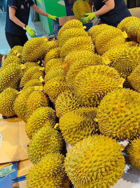 【超级补贴】26.8元斤   泰国树熟特特级金枕榴莲