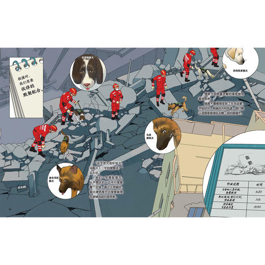 《全面出击！中国国际救援队》（全2册）：《出动！地震救援队》《抢险！洪水救援队》 商品图6