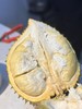 金枕榴莲 商品缩略图0