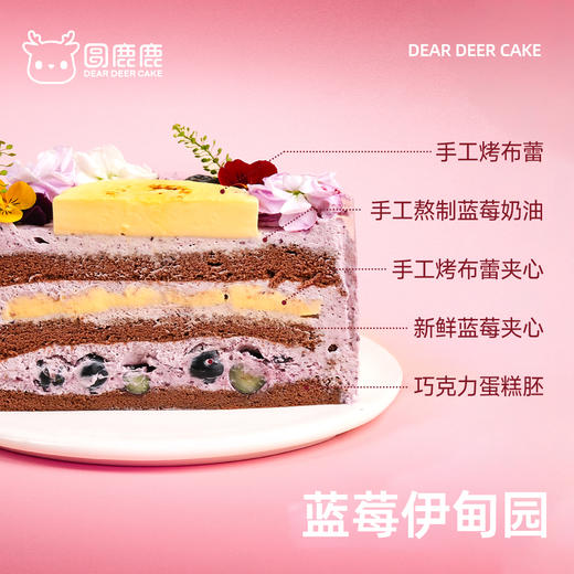 蓝莓伊甸园 商品图1