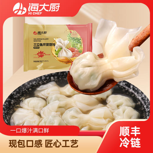海大厨-三文鱼芹菜馄饨 商品图0