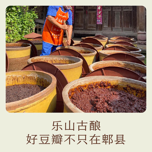 南食召 本真豆瓣酱 商品图2