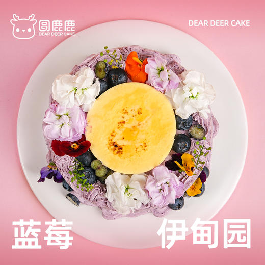 蓝莓伊甸园 商品图2