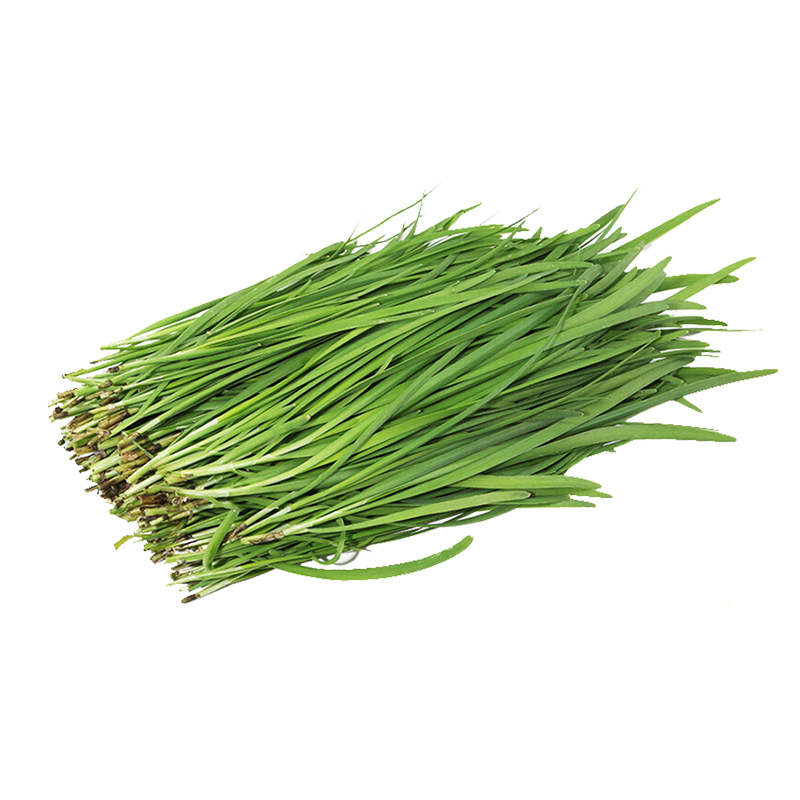 【本地蔬菜】韭菜