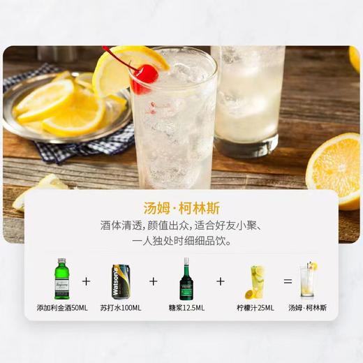 添加利伦敦干味金酒50ml*1+冰力达冰杯160g*1 商品图2