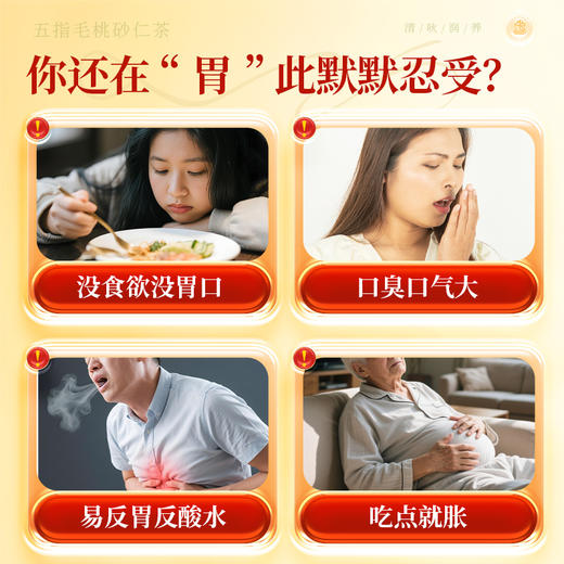 【限时秒杀】康美五指毛桃砂仁茶5g*20袋/盒 养生茶饮代泡茶 商品图7