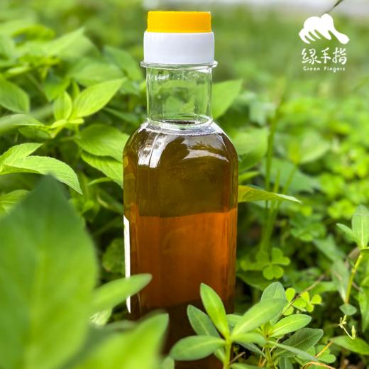 生态核桃油 | 合作生产 * Ecological Walnut oil | Coproduction 商品图3