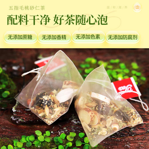 【限时秒杀】康美五指毛桃砂仁茶5g*20袋/盒 养生茶饮代泡茶 商品图2