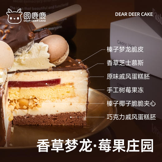 香草梦龙·莓果庄园 商品图3