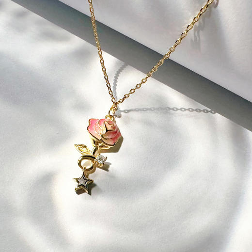 热卖中！！【春节不打烊】【中国航天科技国际交流中心合作产品】太空造物星辰玫瑰陨石项链 商品图6