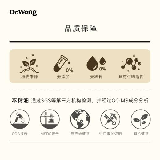 绿薄荷 植物香薰精油 商品图4