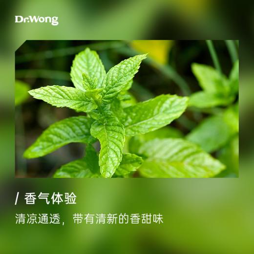 绿薄荷 植物香薰精油 商品图1