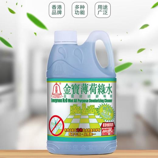 金宝 薄荷驱蚊绿水全能清洁剂1000ml 商品图0