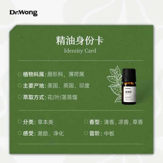 绿薄荷 植物香薰精油 商品图2