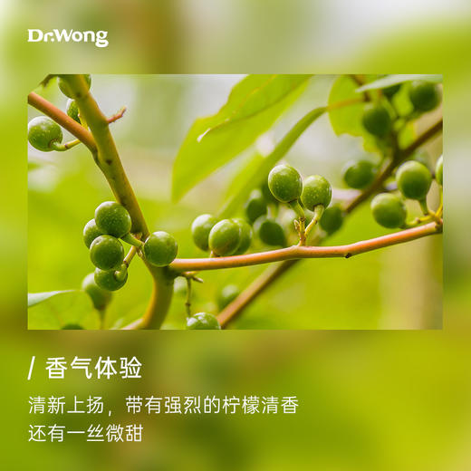 山苍子 植物香薰精油 商品图1