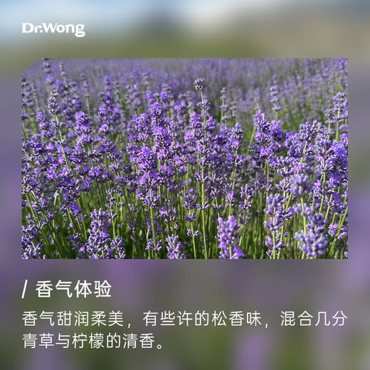 薰衣草 植物香薰精油 商品图1