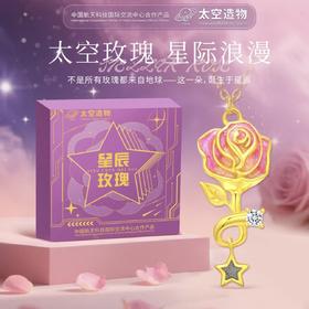热卖中！！【春节不打烊】【中国航天科技国际交流中心合作产品】太空造物星辰玫瑰陨石项链