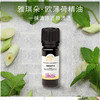 雅琪朵：欧薄荷精油10ml 提神醒脑 养肝&利胆 防晕车 商品缩略图1