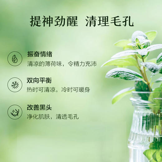 雅琪朵：欧薄荷精油10ml 提神醒脑 养肝&利胆 防晕车 商品图2