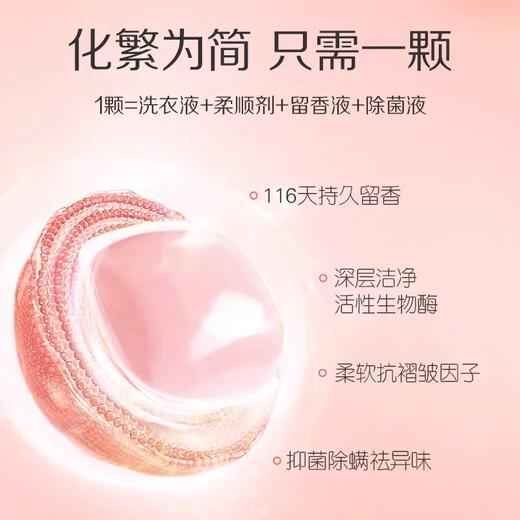 阿道夫·蒂姆森香氛浓缩洗衣凝珠（芍药玫瑰）500g 商品图2