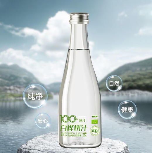 巴扎威白桦树汁330ml/瓶 商品图2