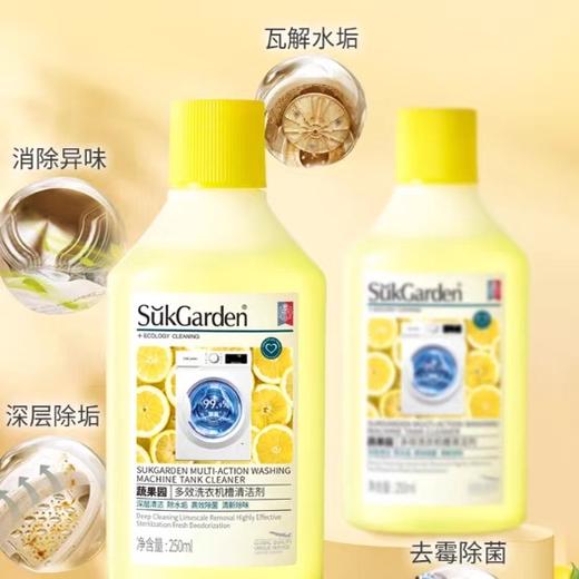 蔬果园多效洗衣机槽清洁剂250ml 商品图1