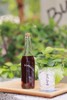 咖啡KOMBUCHA（浅烘咖啡豆发酵） 商品缩略图0