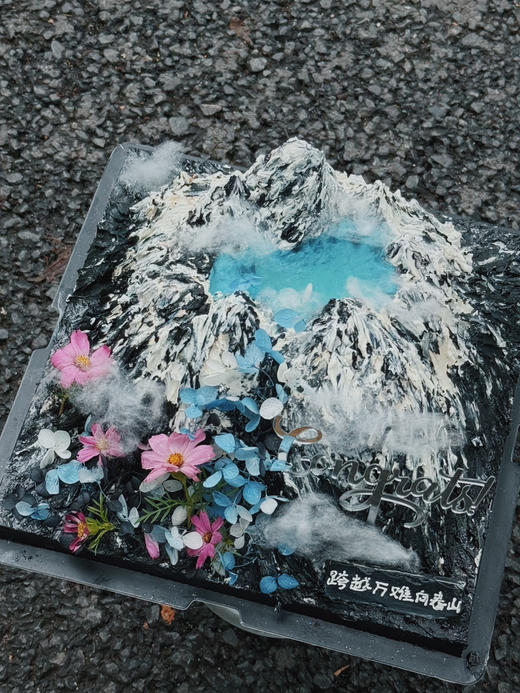 雪峦向春【奶油霜外层，提前5天预订】 商品图3