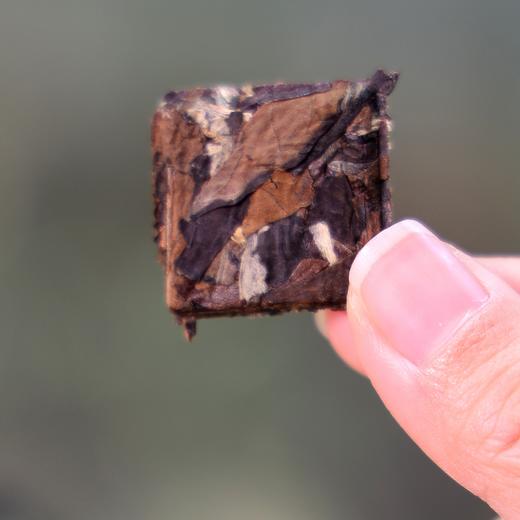 「老白鱼古树白茶」饼干茶，一次一袋，好茶焖着喝 商品图3