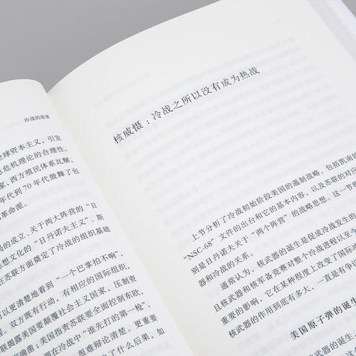 冷战的故事  王缉思 新作 讲述大时代下千百万普通人的故事  多角度观察冷战 历史世界史政治国际 商品图5