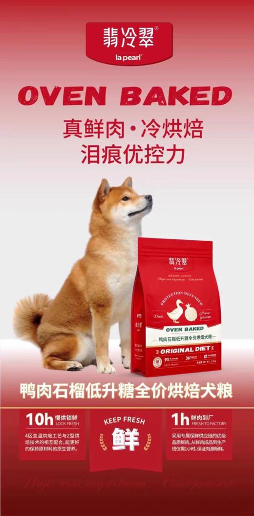 翡冷翠低温烘焙系列鸽肉鸡肉鸭肉石榴猫狗粮 商品图1