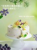 【一起走花路】紫蔓花瀑·葡萄奶油蛋糕 商品缩略图0