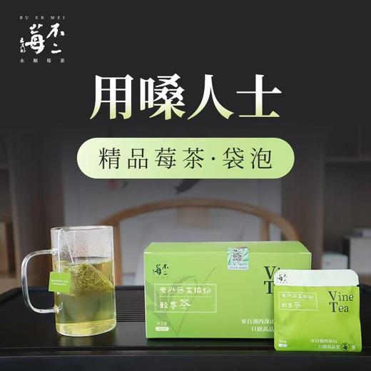 【不二莓茶】选取3-4cm芽尖制作，绿色有机，黄铜含量丰富，入口微涩AA 商品图4